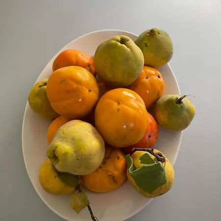 Gospodarstwo agroturystyczne Cascina Boschetti Barolo